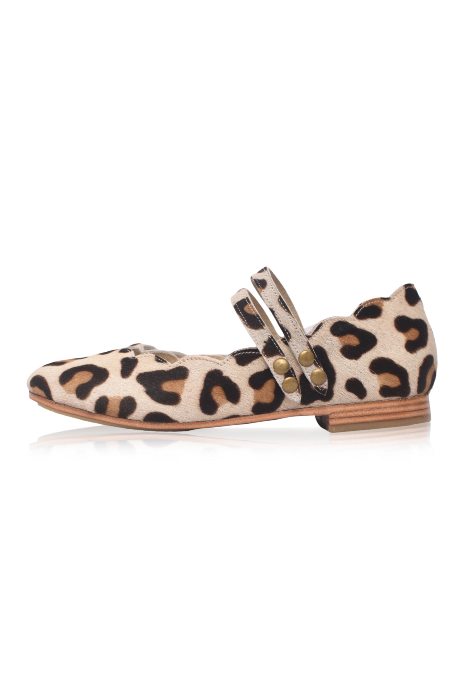 Daydream Animal Printed Flats-1