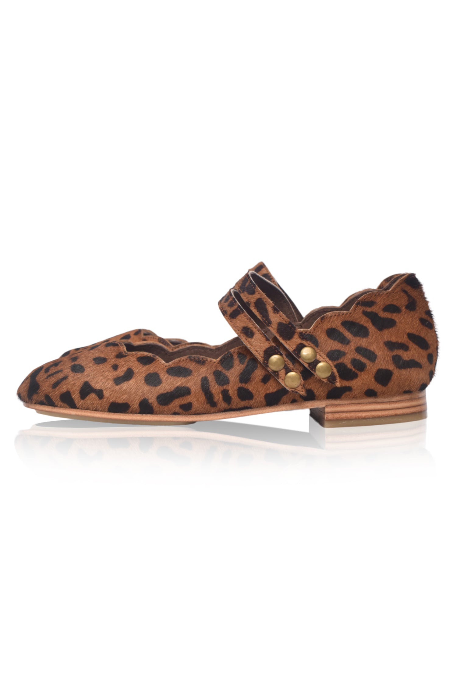 Daydream Animal Printed Flats-5